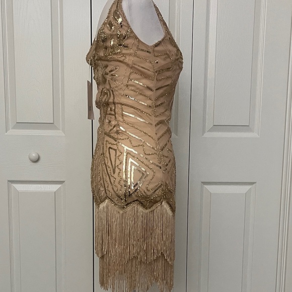 1920s-Inspired Sequined Fringe Midi Dress XS - Picture 6 of 15